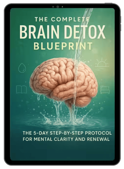 The Complete Brain Detox Blueprint, bonus report included with NeuroVera