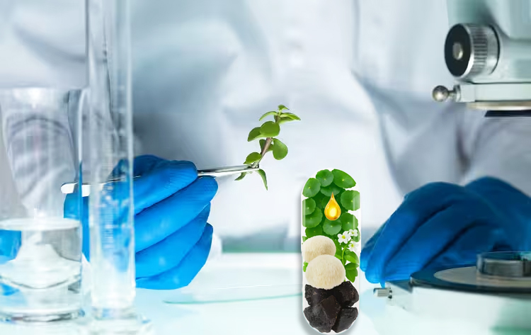 NeuroVera NeuroVera Ingredients